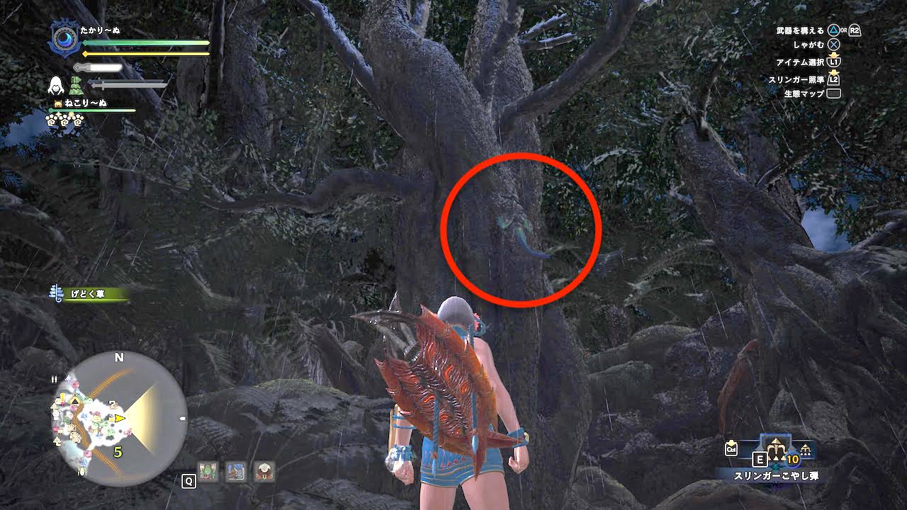 調査協力 シンリンシソチョウの捕獲 のクリア方法 シンリンシソチョウの捕まえ方 Mhwアイスボーン モンハンを喰らう