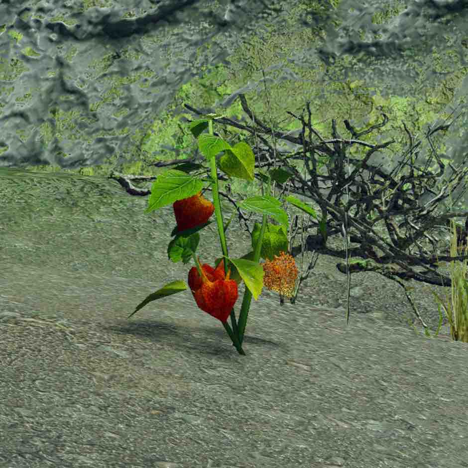 モンハンライズ 潜水艇 交易船 を全て開放する方法 モンハンを喰らう